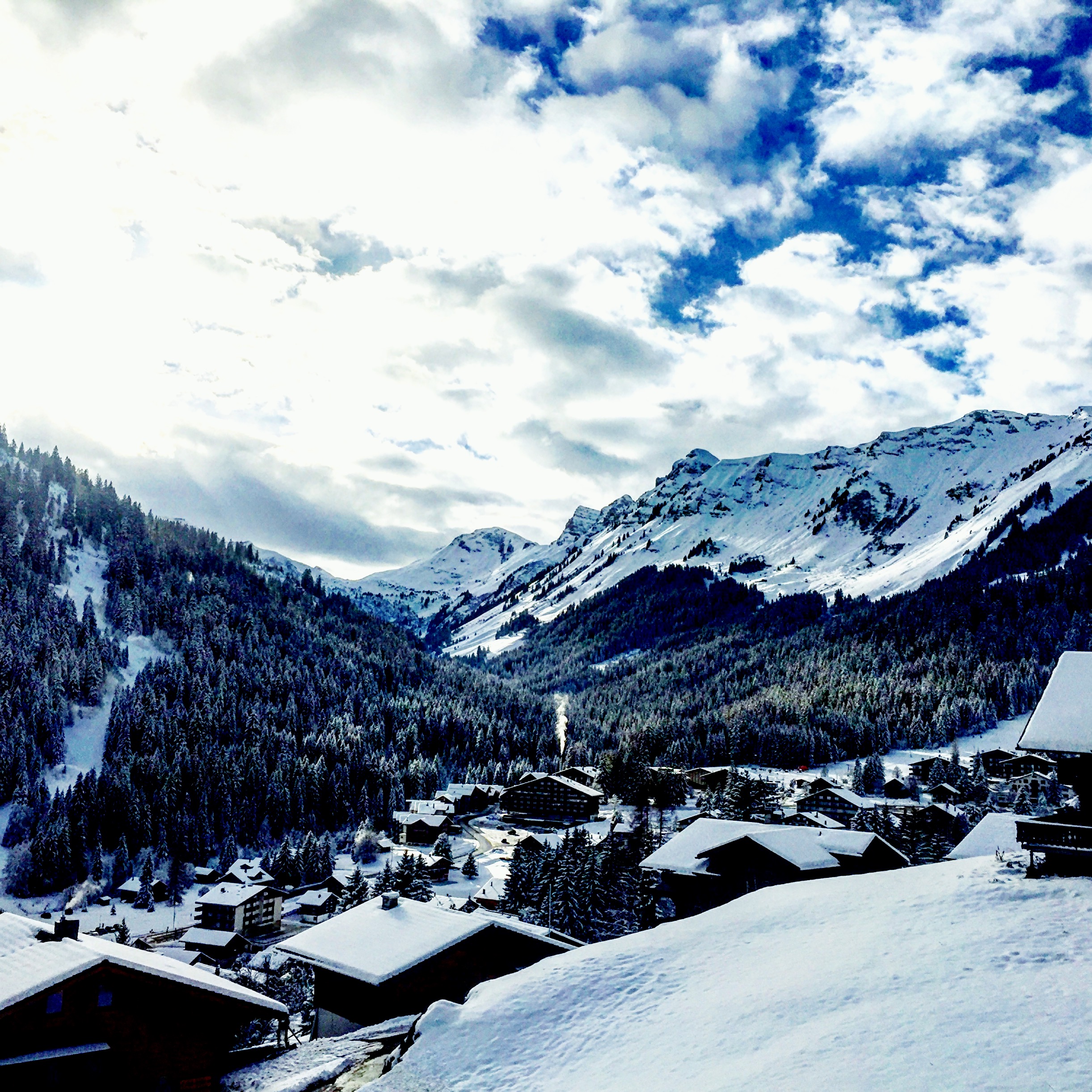 Morgins Chalet Apartment